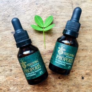 Propolis de abelhas nativas