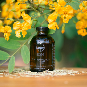 Oleo Resgate da Alegria